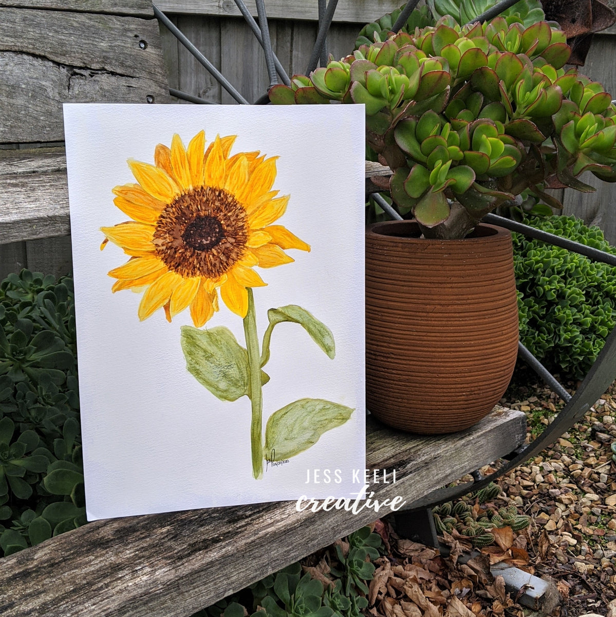 Sarah_babcadf3-689d-49b8-bc48-