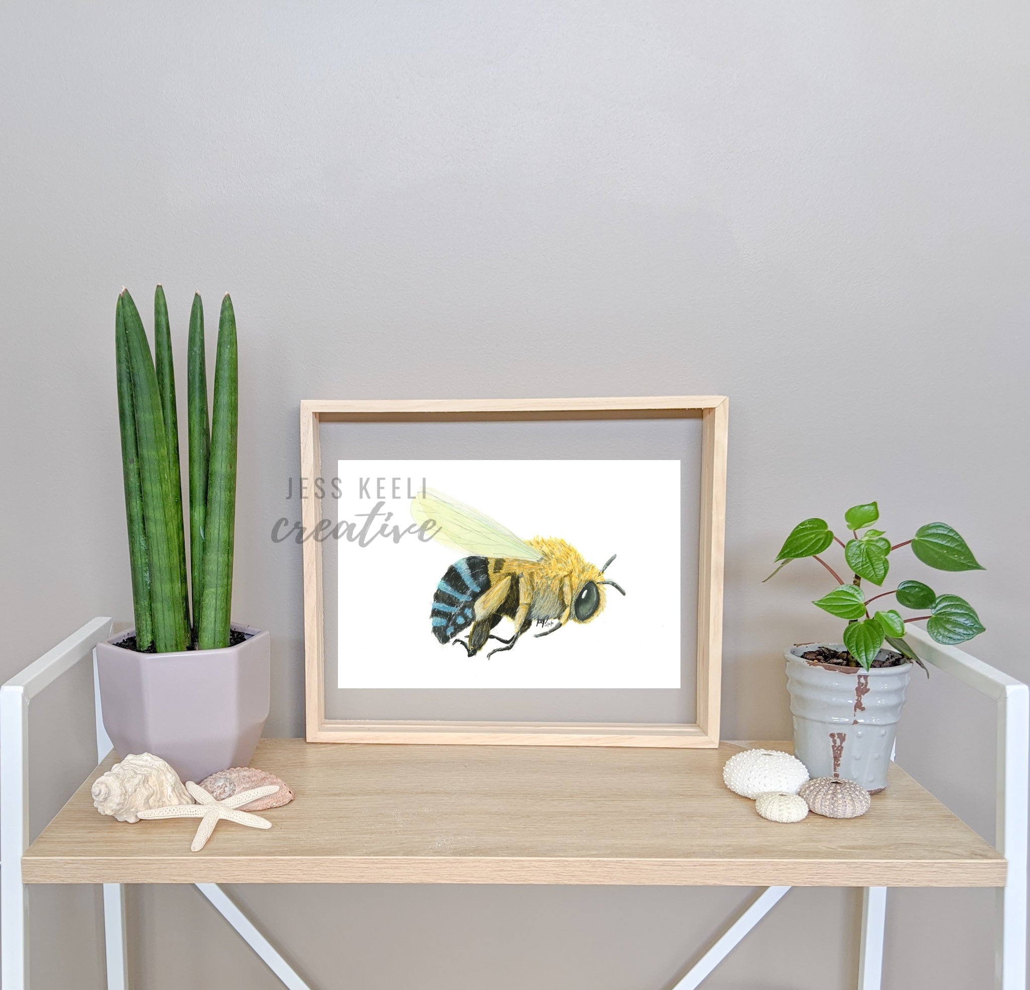 BRENNA - Blue Banded Bee