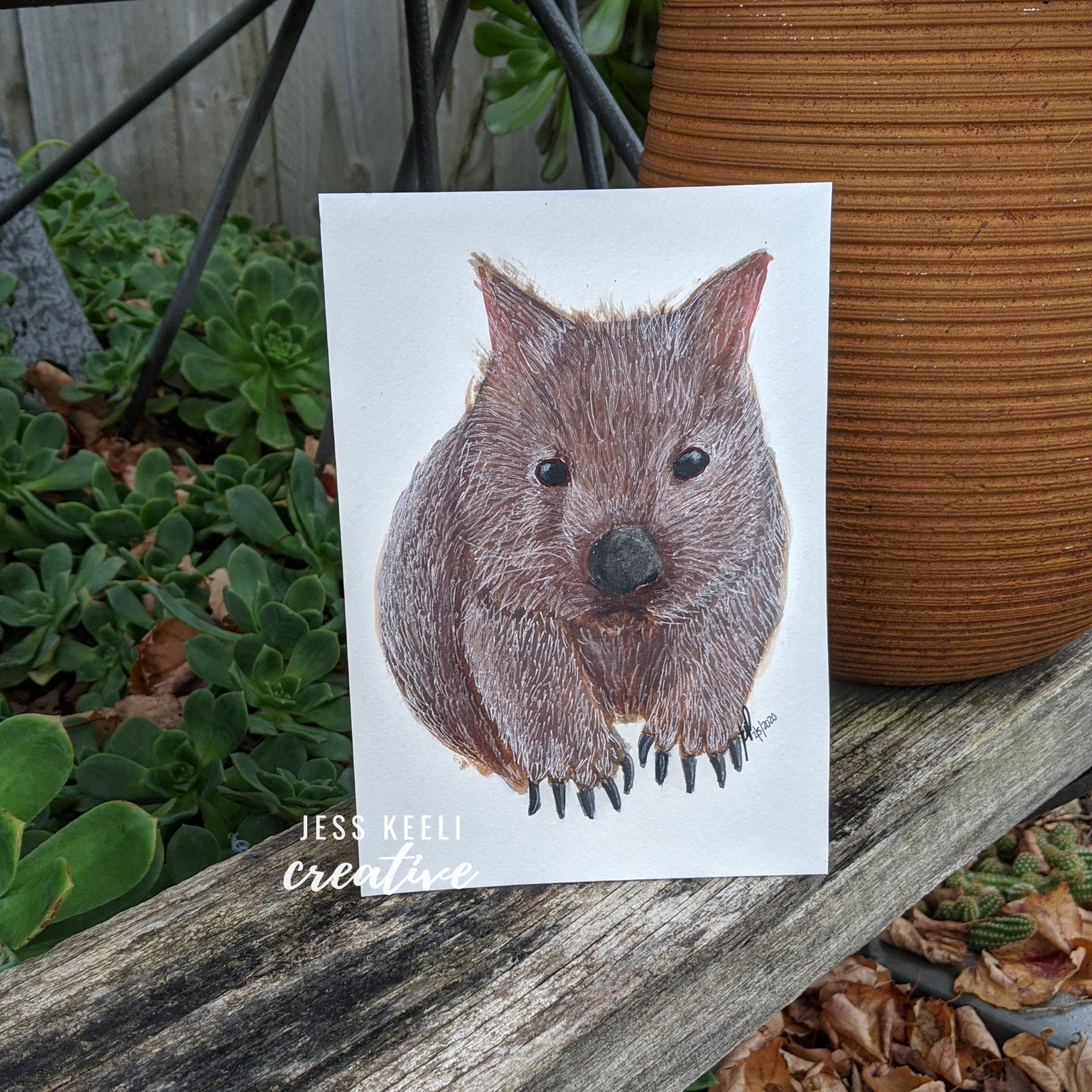 WINNIE - Wombat